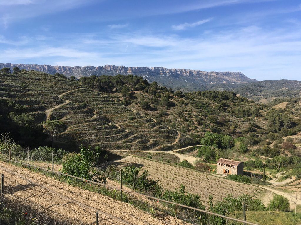 Mas Sinén Celler Priorat